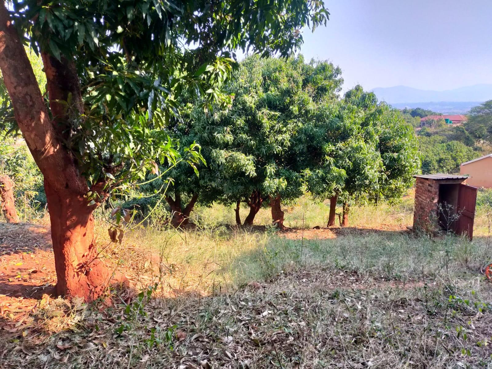 House For Sale in Thohoyandou Rural, Maungani