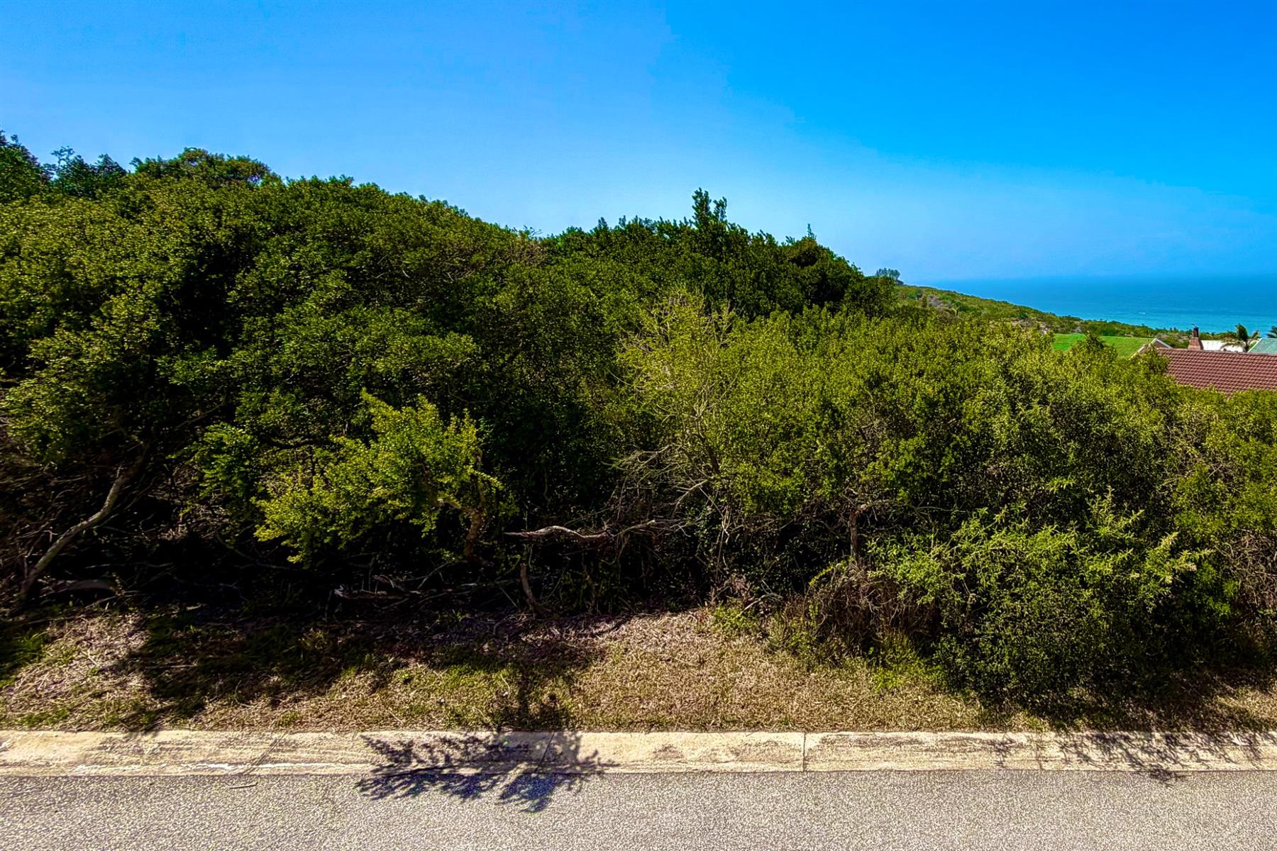 Fall in Love with Coastal Living in Blue Horizon Bay | Listed by Danté Koen, eXp Realty