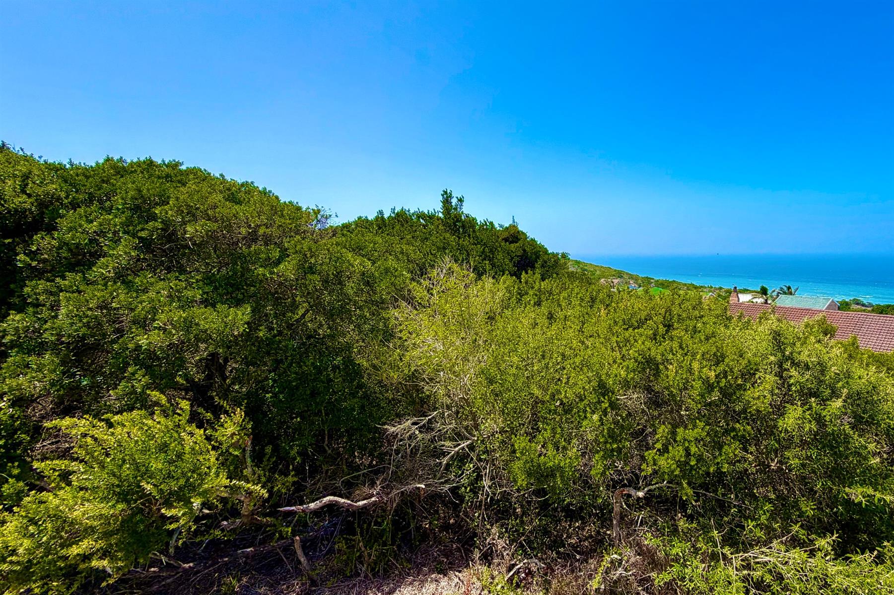 Fall in Love with Coastal Living in Blue Horizon Bay | Listed by Danté Koen, eXp Realty