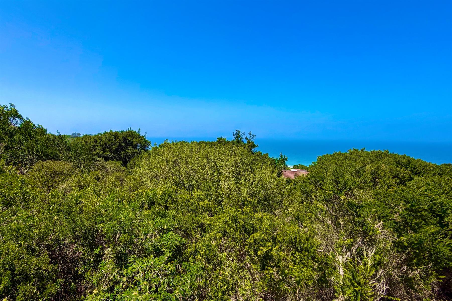Fall in Love with Coastal Living in Blue Horizon Bay | Listed by Danté Koen, eXp Realty