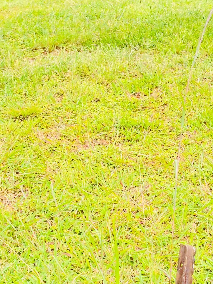 Vacant Land For Sale in Vulintaba Country Estate, Newcastle, KwaZulu Natal