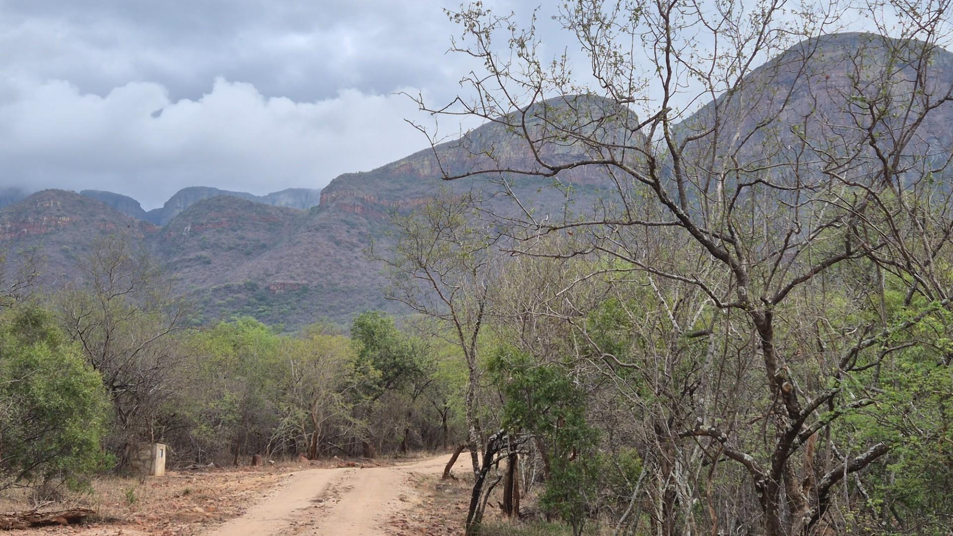 A Jewel of a Plot For Sale in Canyon Game Reserve, Hoedspruit