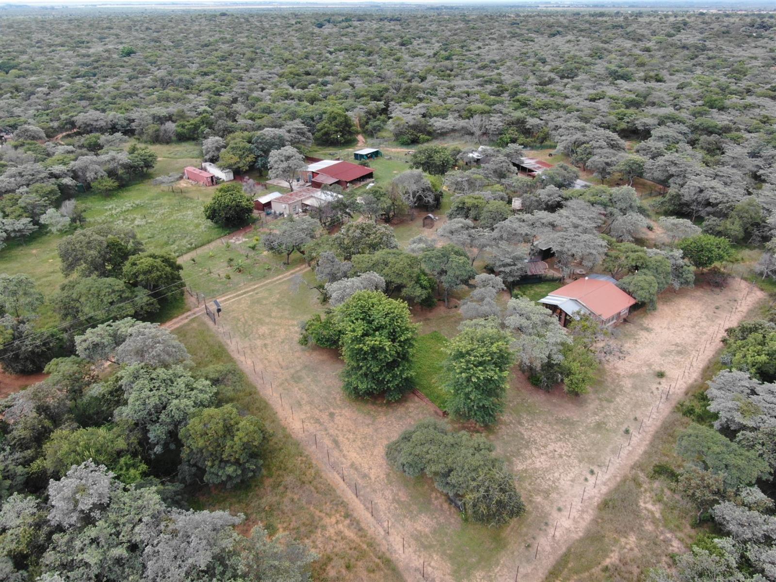 21.4-Hectare Smallholding with Active Hospitality Operation in Bela Bela, Limpopo for sale