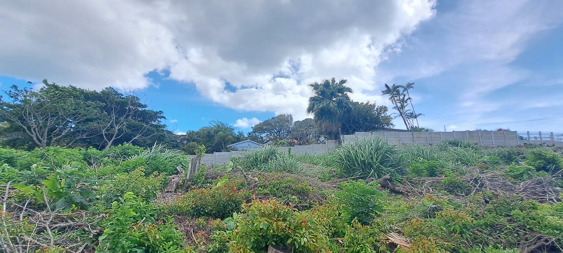 Elevated Stand With Sea Views For Sale in Doc Wilson Point, Port Edward, KwaZulu Natal