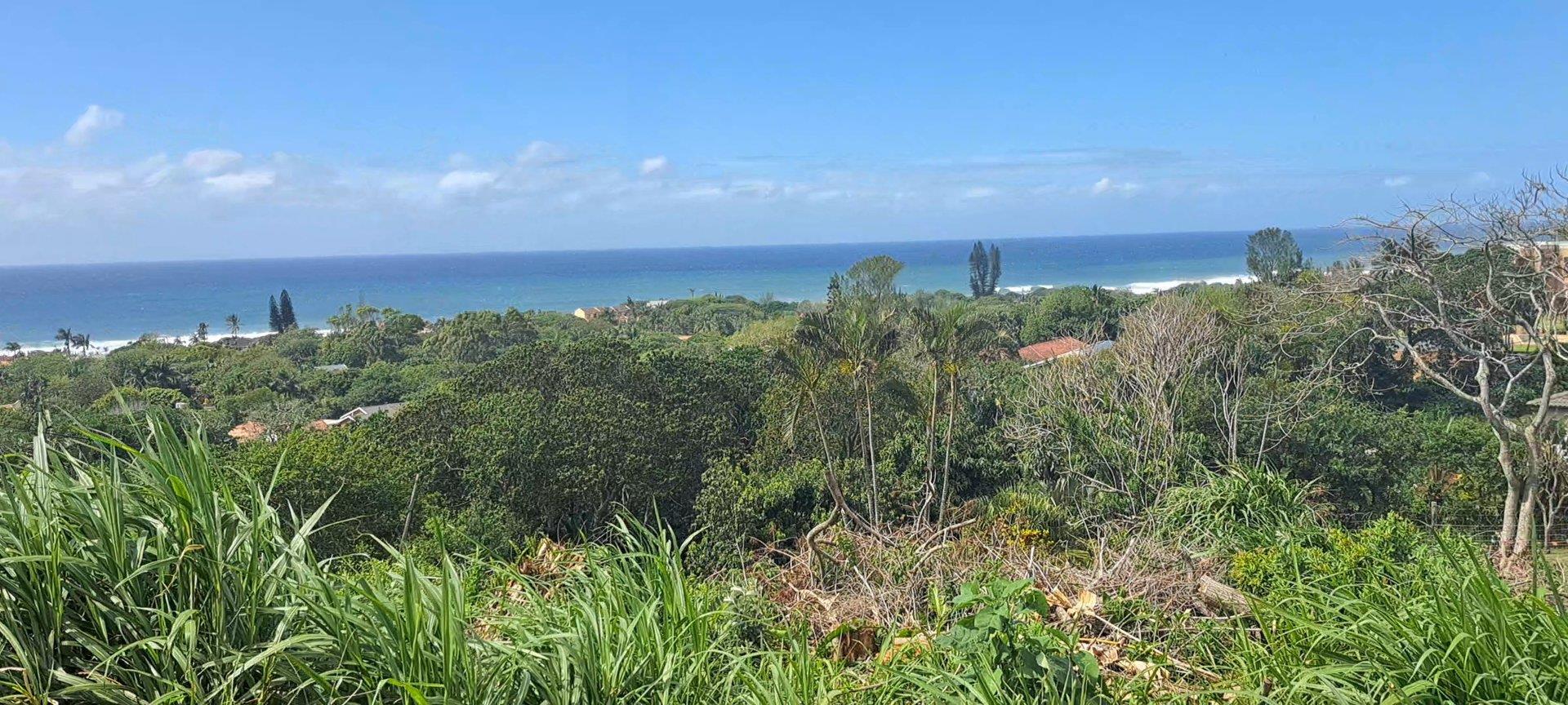 Elevated Stand With Sea Views For Sale in Doc Wilson Point, Port Edward, KwaZulu Natal