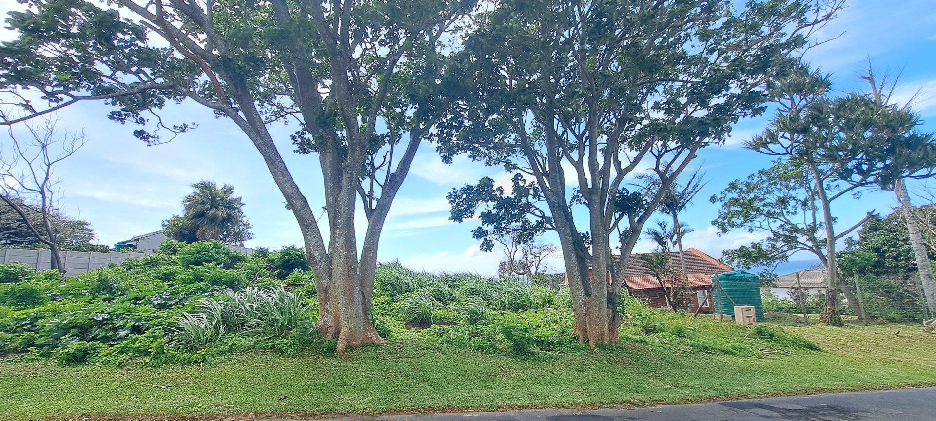 Elevated Stand With Sea Views For Sale in Doc Wilson Point, Port Edward, KwaZulu Natal