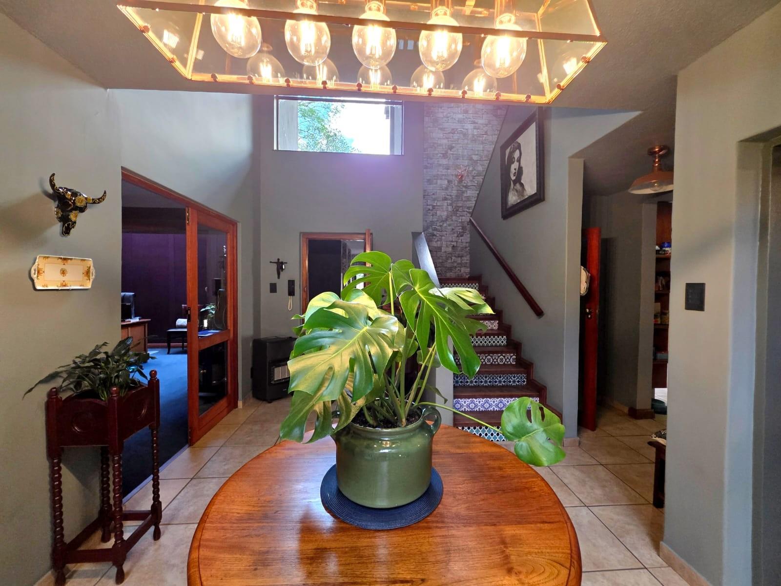 Spacious Duplex Townhouse - A Home Alive With Character, Colour and Creativity