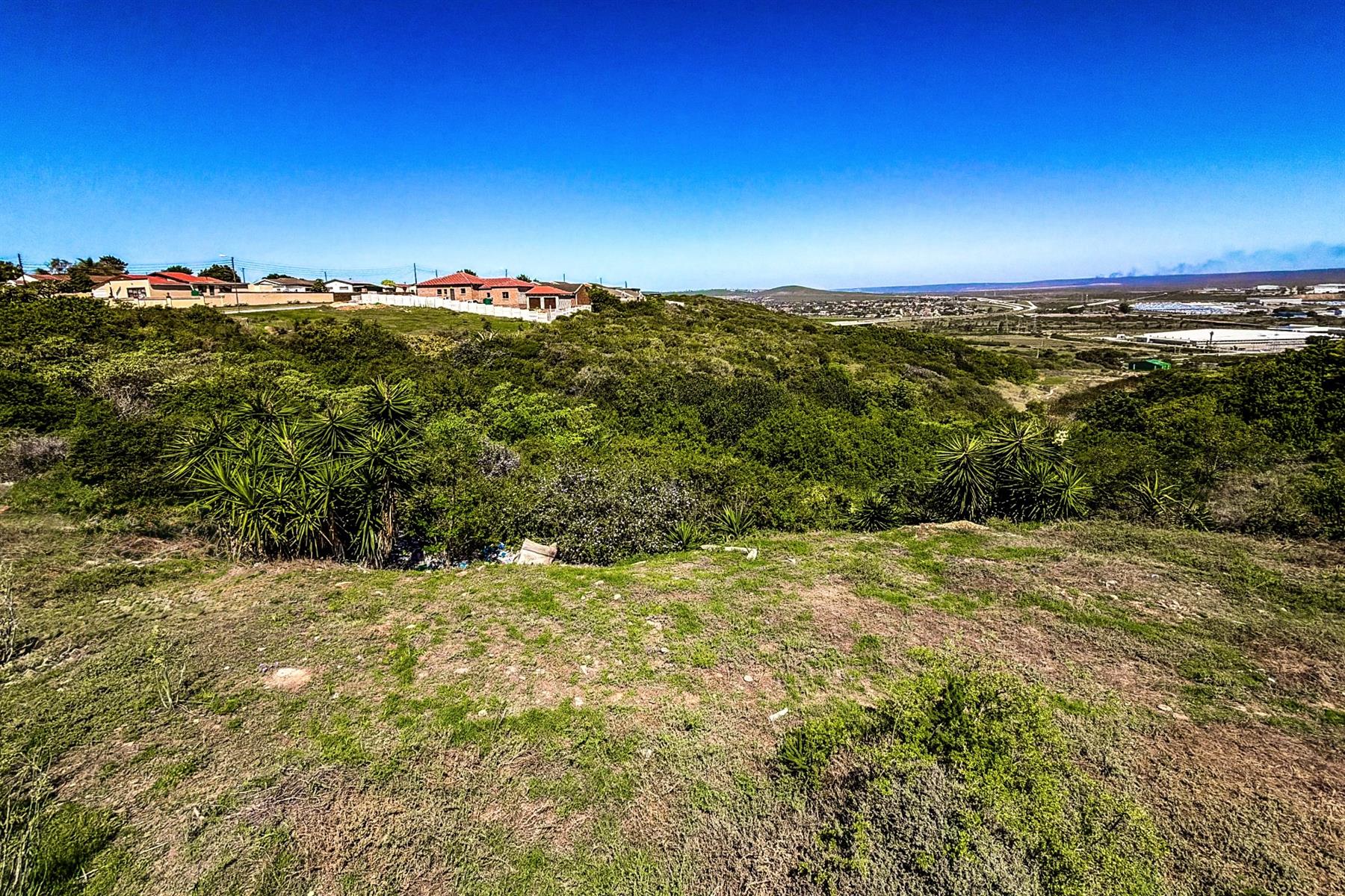 Expansive Plot with Breathtaking Views | Listed by Danté Koen, eXp Realty