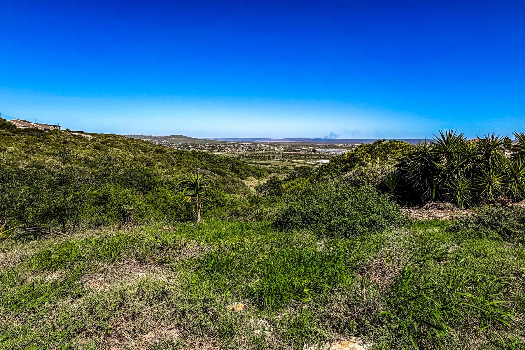 Expansive Plot with Breathtaking Views | Listed by Danté Koen, eXp Realty