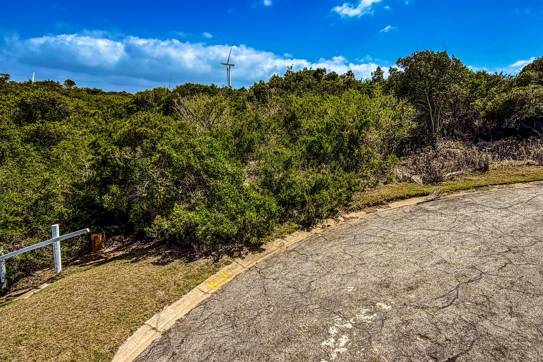 Cul-de-Sac Living in Blue Horizon Bay | Listed by Danté Koen, eXp Realty