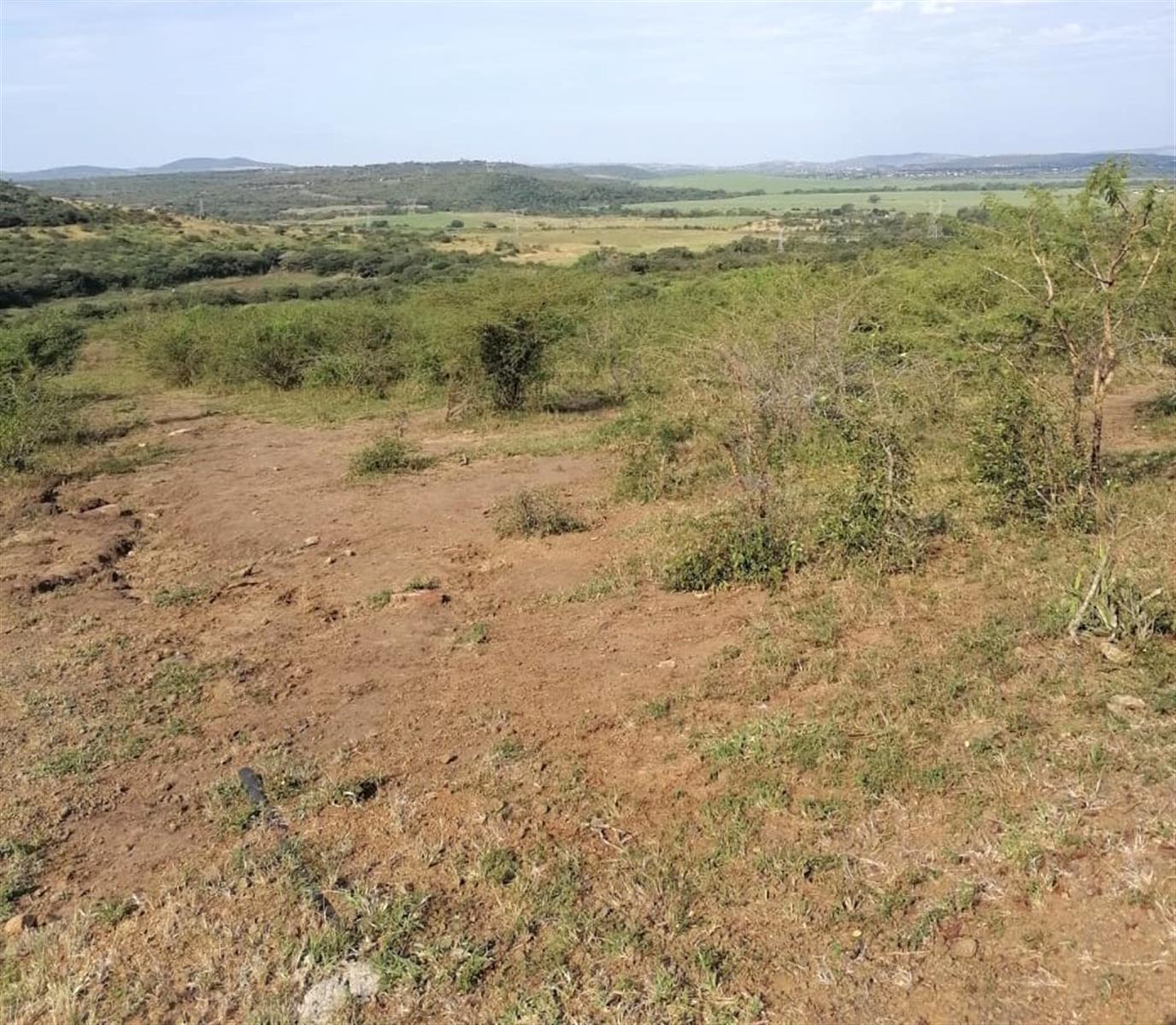 Farm For Sale in Empangeni Rural, Empangeni, KwaZulu Natal