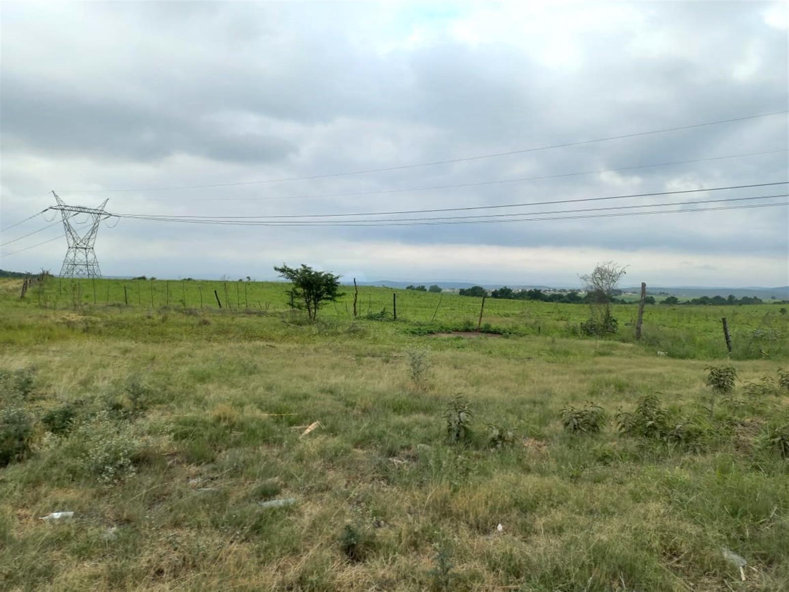 Farm For Sale in Empangeni Rural, Empangeni, KwaZulu Natal