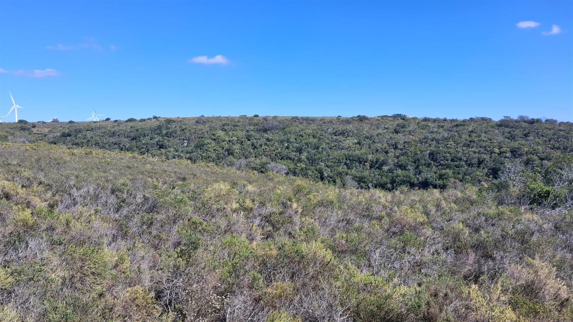 Vacant Stand in Prestigious Twin Valley Nature Estate