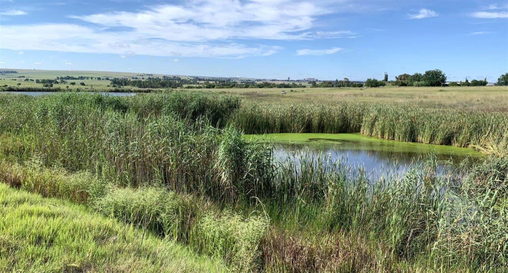 A Rare Opportunity in Glen Cullen - Stand With Approved Luxury Home Plans!