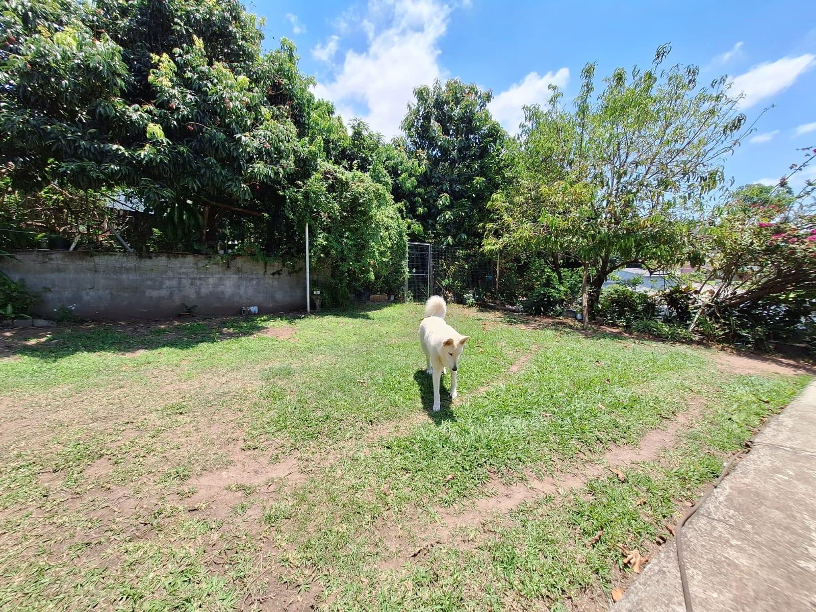 Well-Maintained 4-Bed 3-Bath Home in Stanger Heights