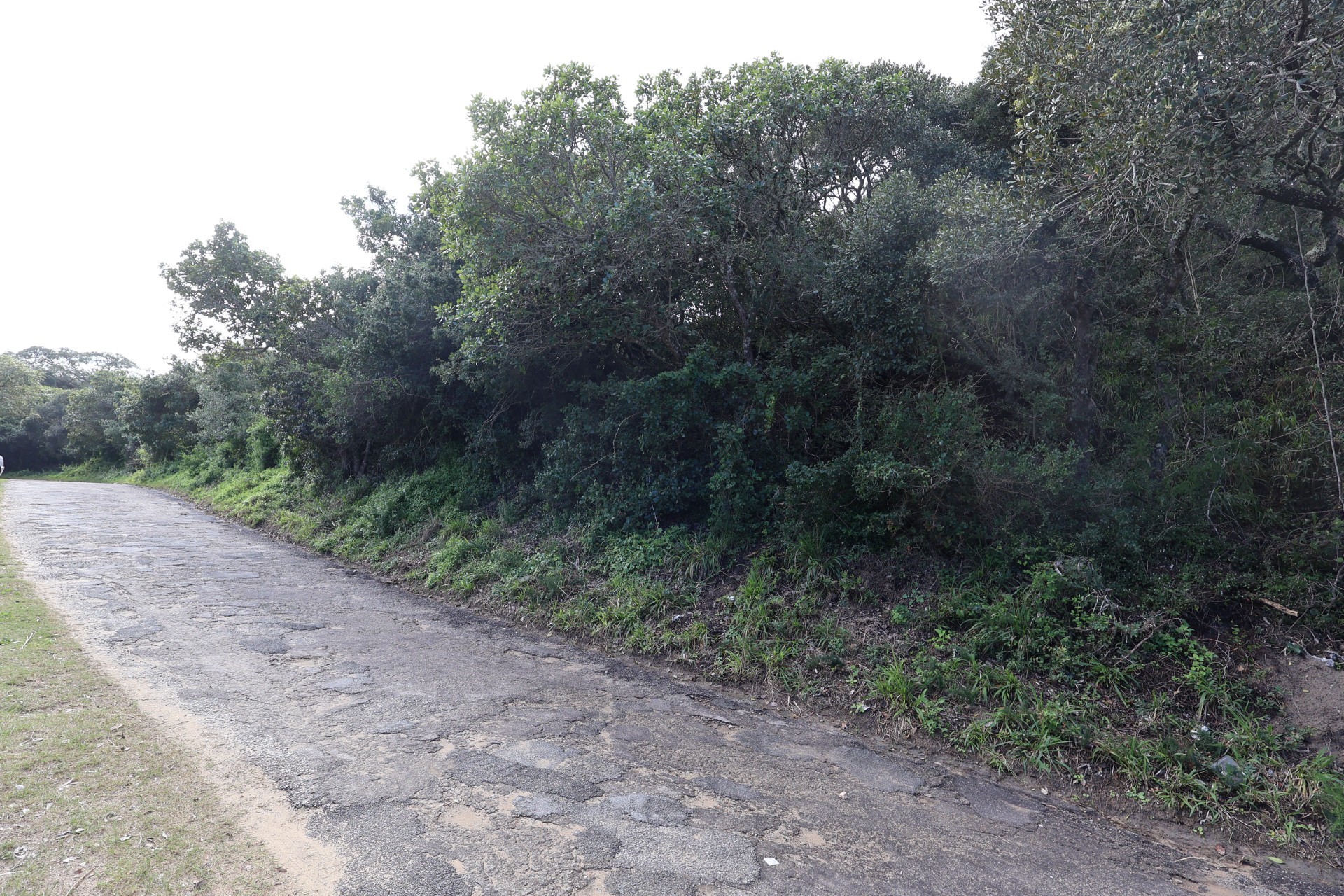 Vacant Land Near the Eastern Beach 3