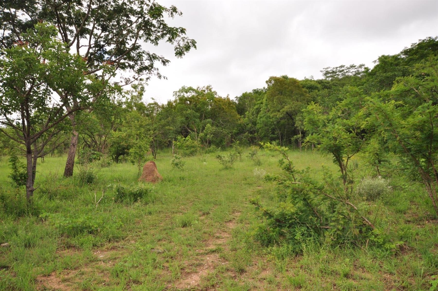Vacant farm For Sale in Mbombela