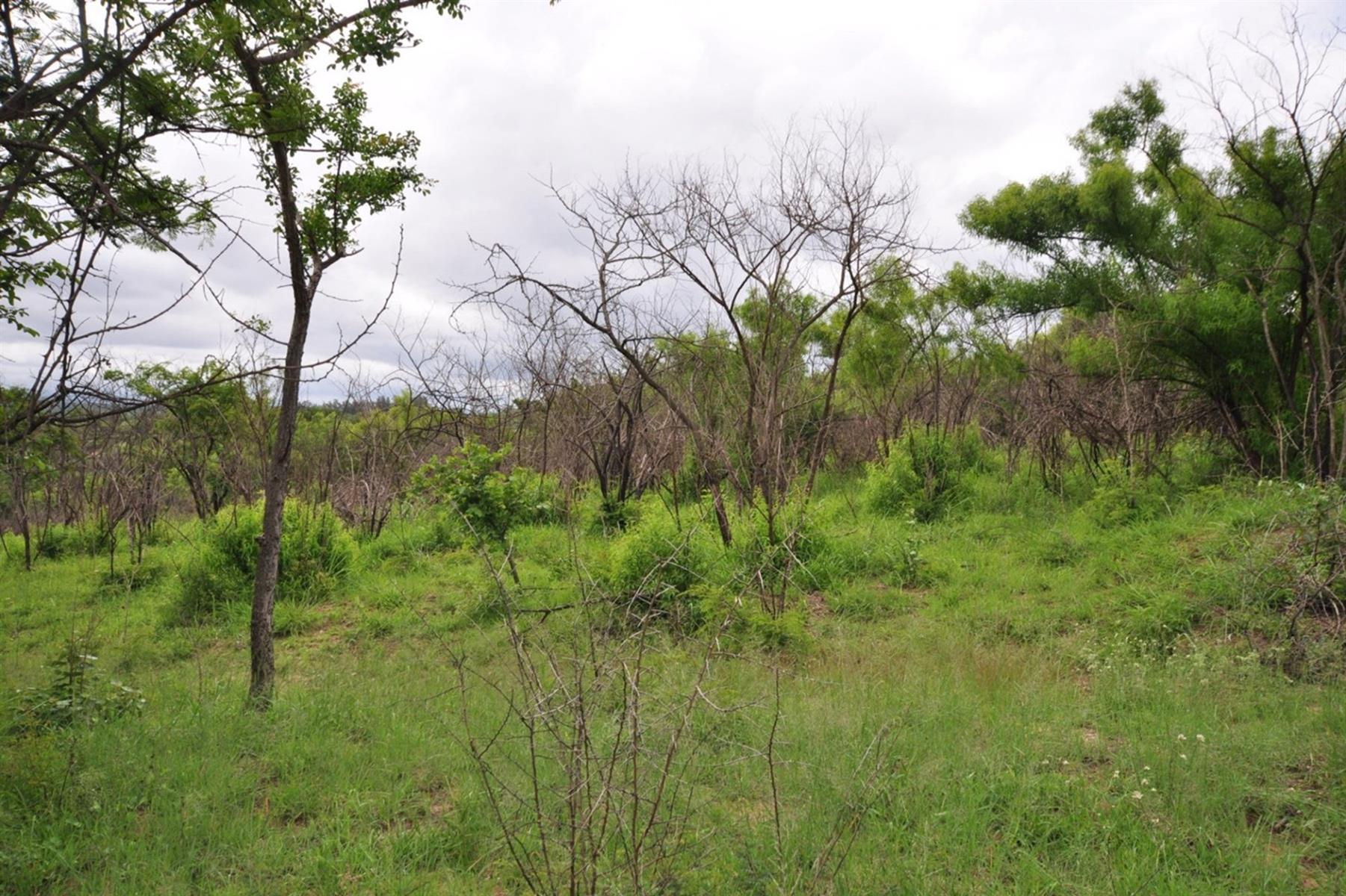 Vacant farm For Sale in Mbombela