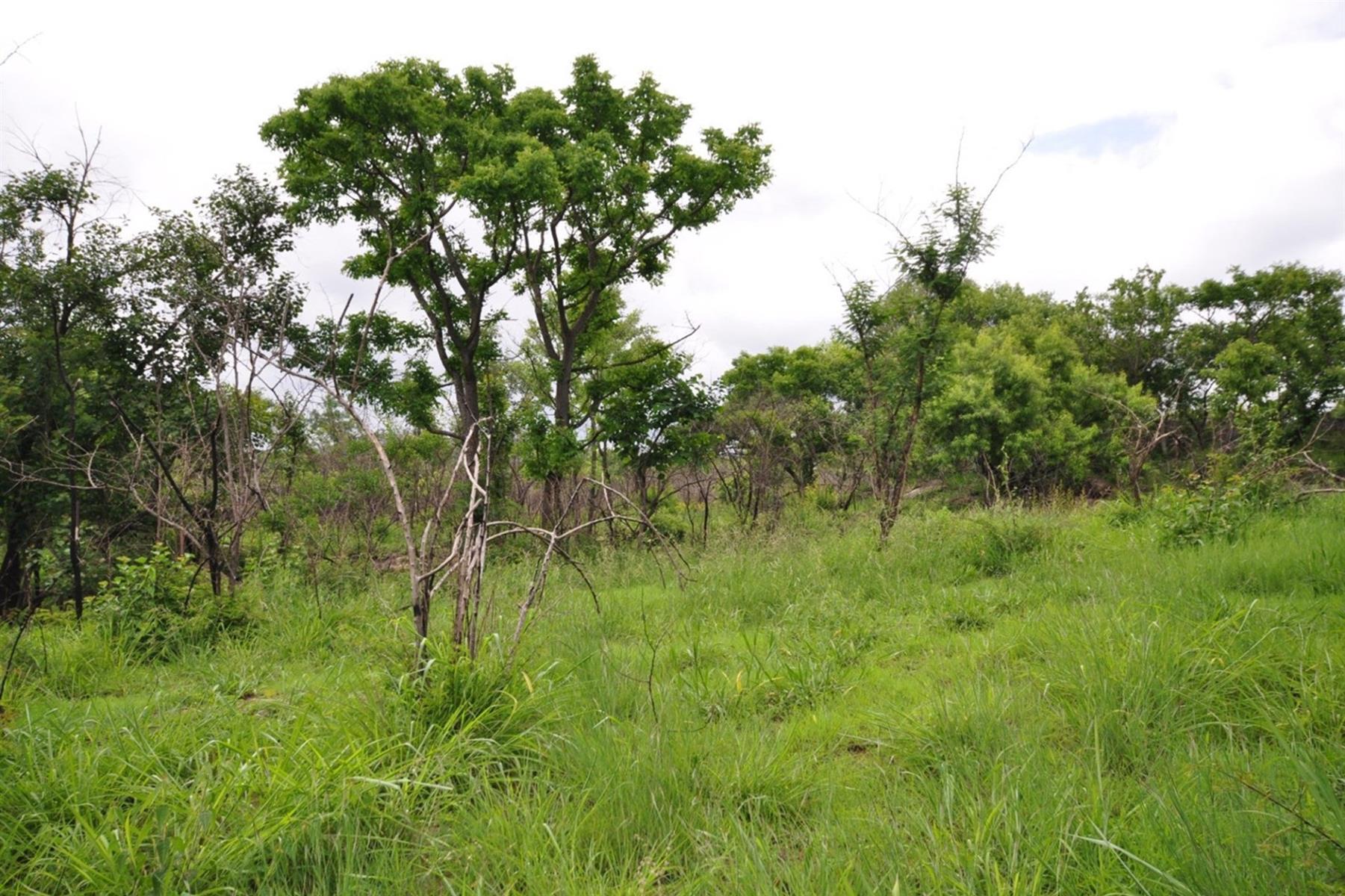 Vacant farm For Sale in Mbombela