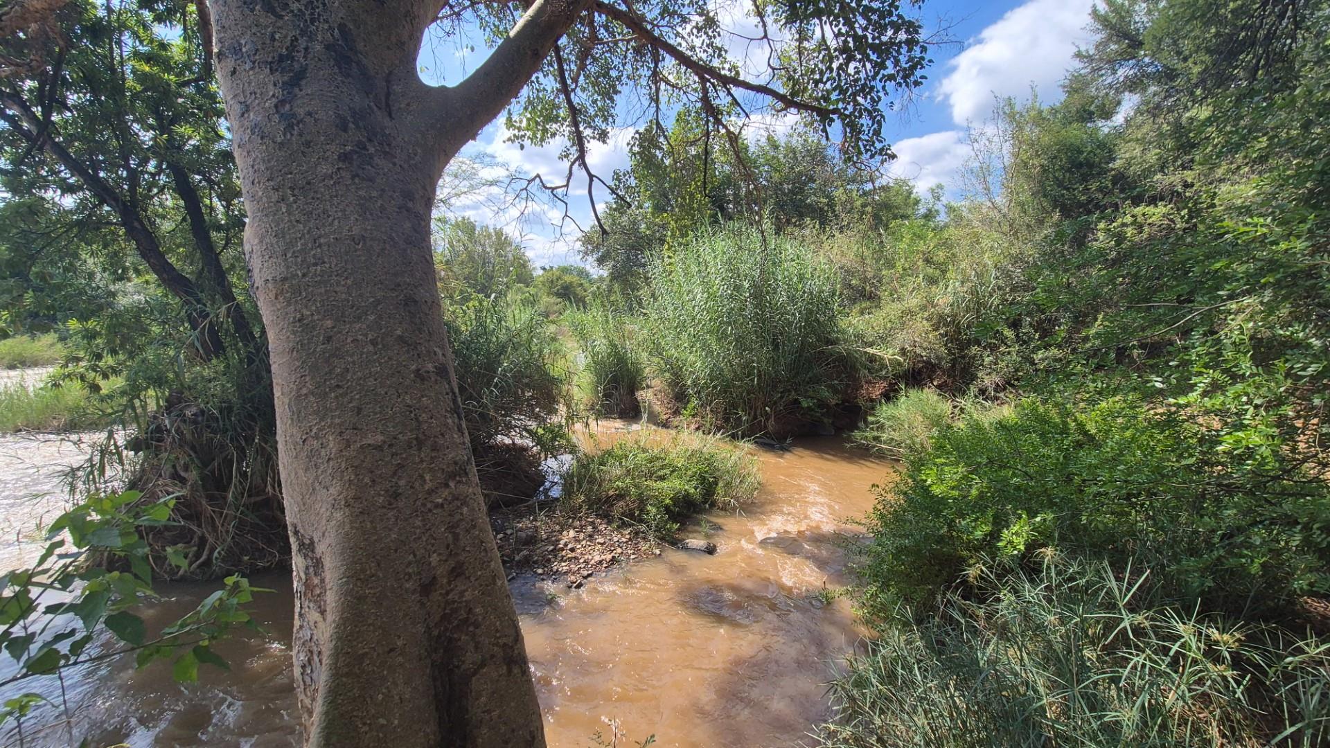 Stunning 14ha plot bordering the Olifants River with 200m river front for sale in Mica, Hoedspruit