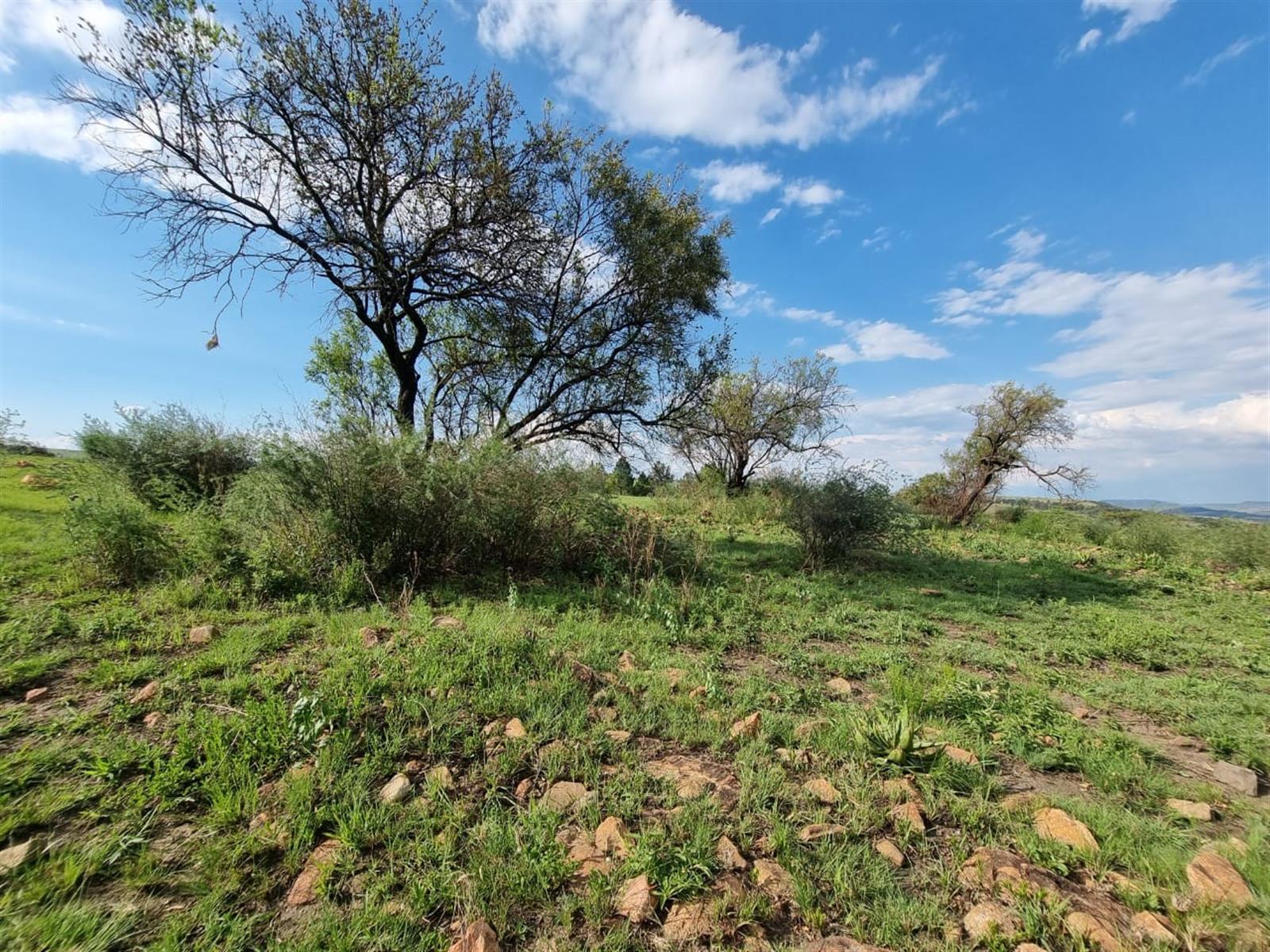 Exceptional Land Opportunity in Lanseria’s Expansion Zone