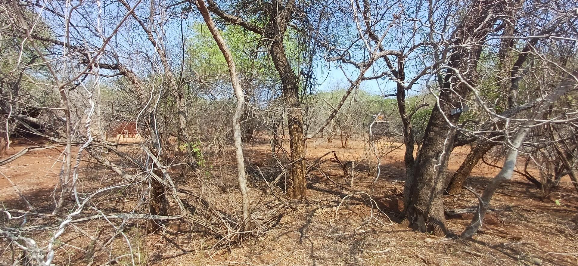 Vacant Land for sale in Marloth Park, 1750 m²