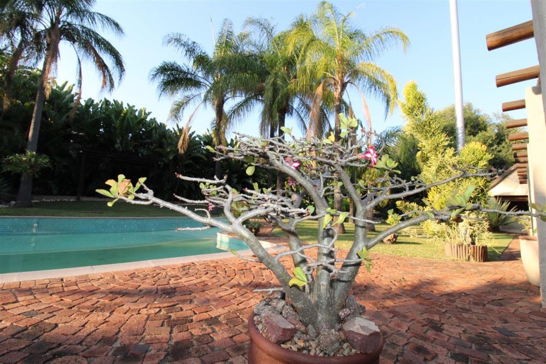 DOUBLE-STOREY THATCH-ROOF HOME IN CENTRAL BELA-BELA- 5 Bedrooms