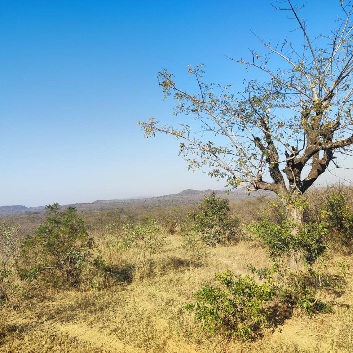 Farm for sale in Thohoyandou Rural, Thohoyandou, 100000 m²