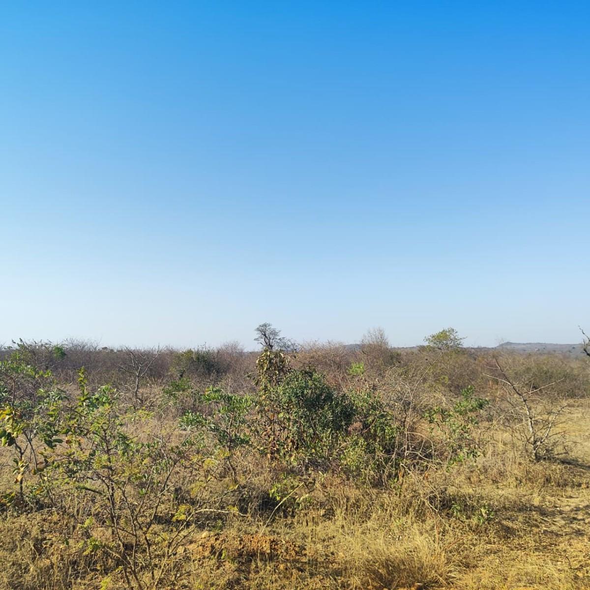 Farm for sale in Thohoyandou Rural, Thohoyandou, 100000 m²