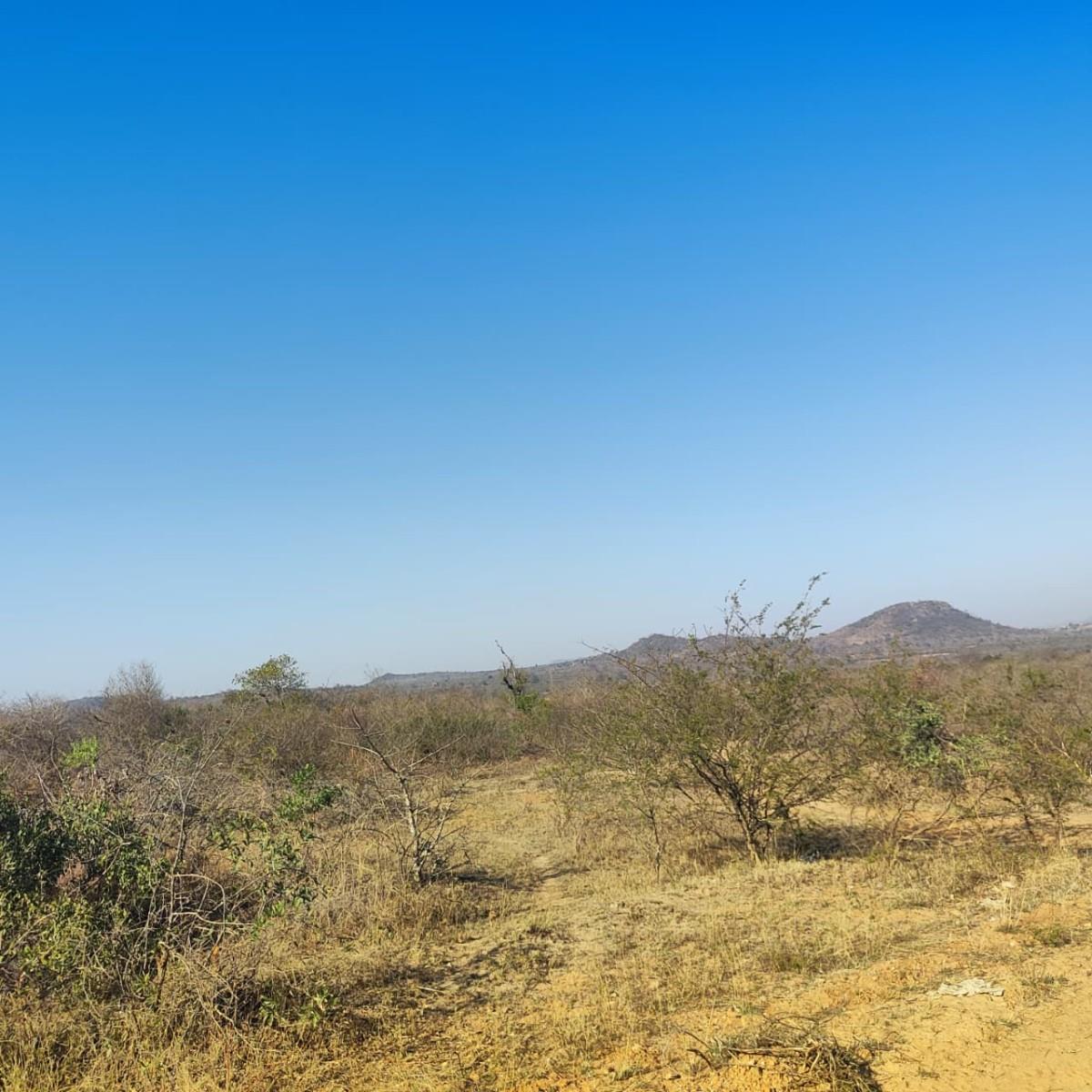 Farm for sale in Thohoyandou Rural, Thohoyandou, 100000 m²
