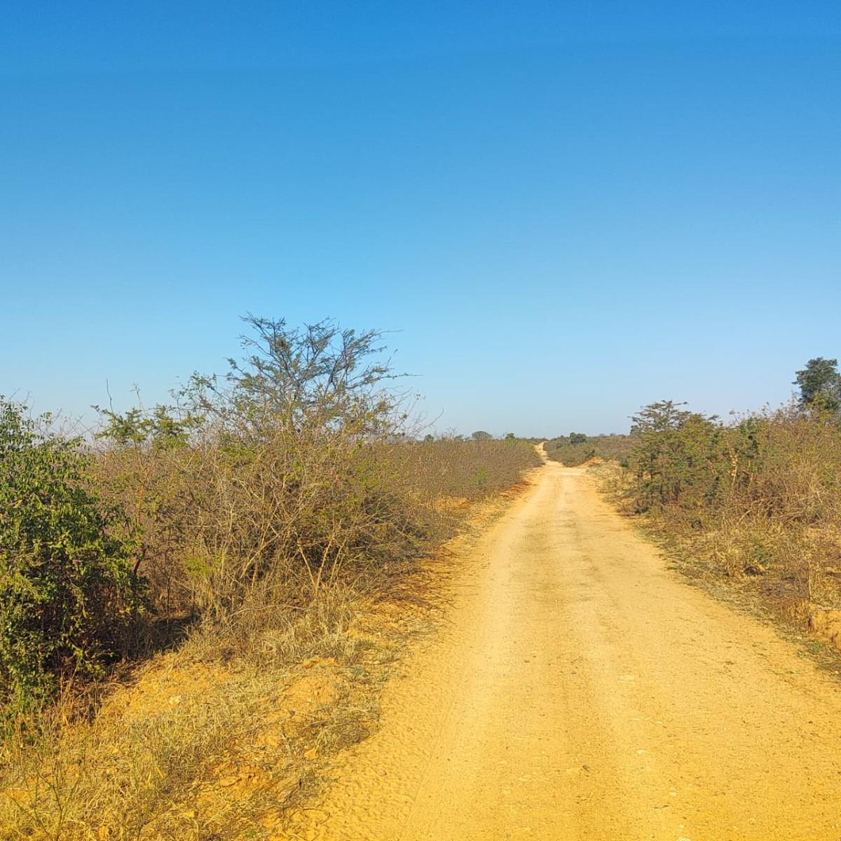 Farm for sale in Thohoyandou Rural, Thohoyandou, 100000 m²