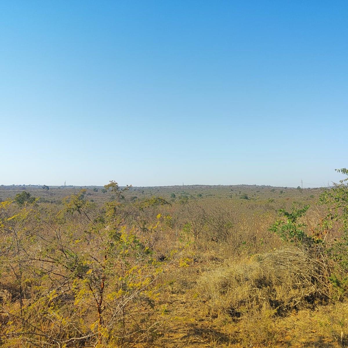 Farm for sale in Thohoyandou Rural, Thohoyandou, 100000 m²