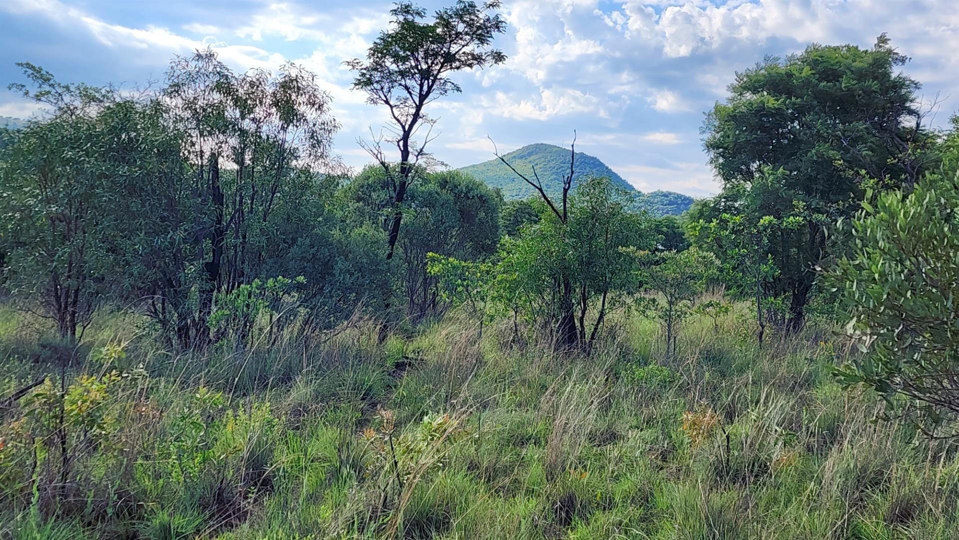 Vacant Stand in Zwartkloof Private Game Reserve - Spectacular Views