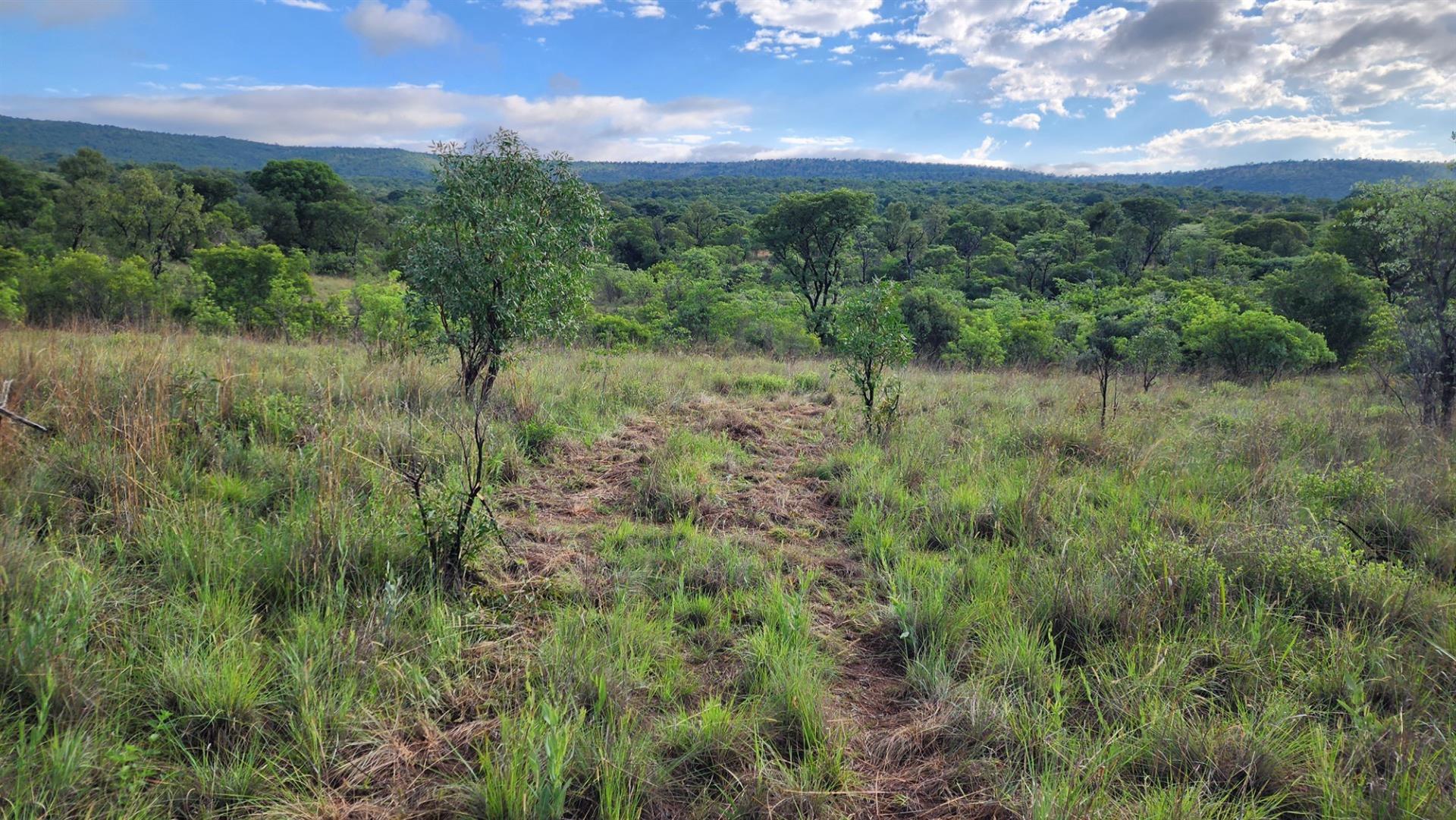 Vacant Stand in Zwartkloof Private Game Reserve - Spectacular Views