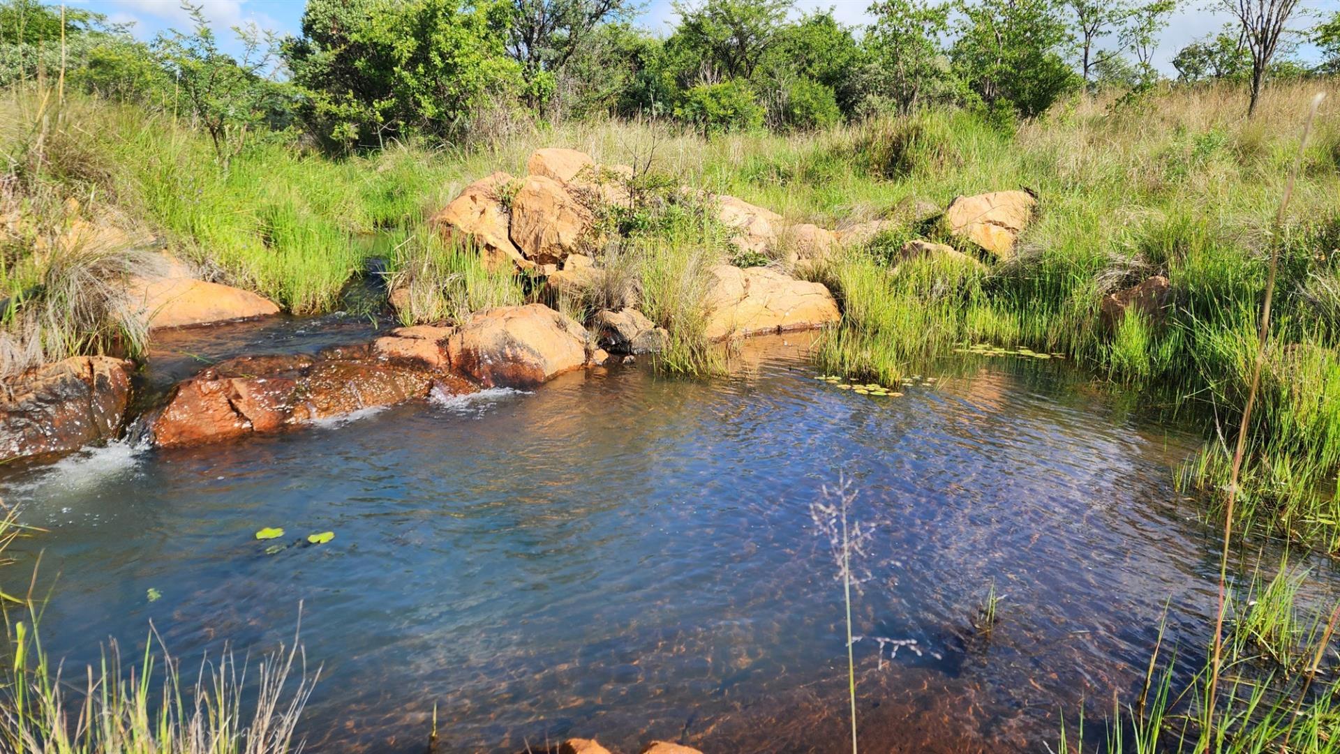 Vacant Stand in Zwartkloof Private Game Reserve - Spectacular Views