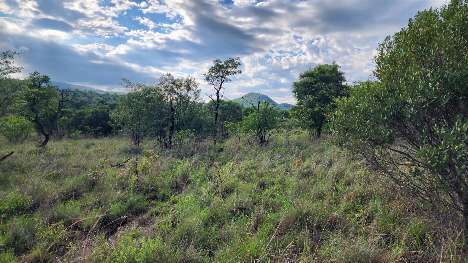 Vacant Stand in Zwartkloof Private Game Reserve - Spectacular Views
