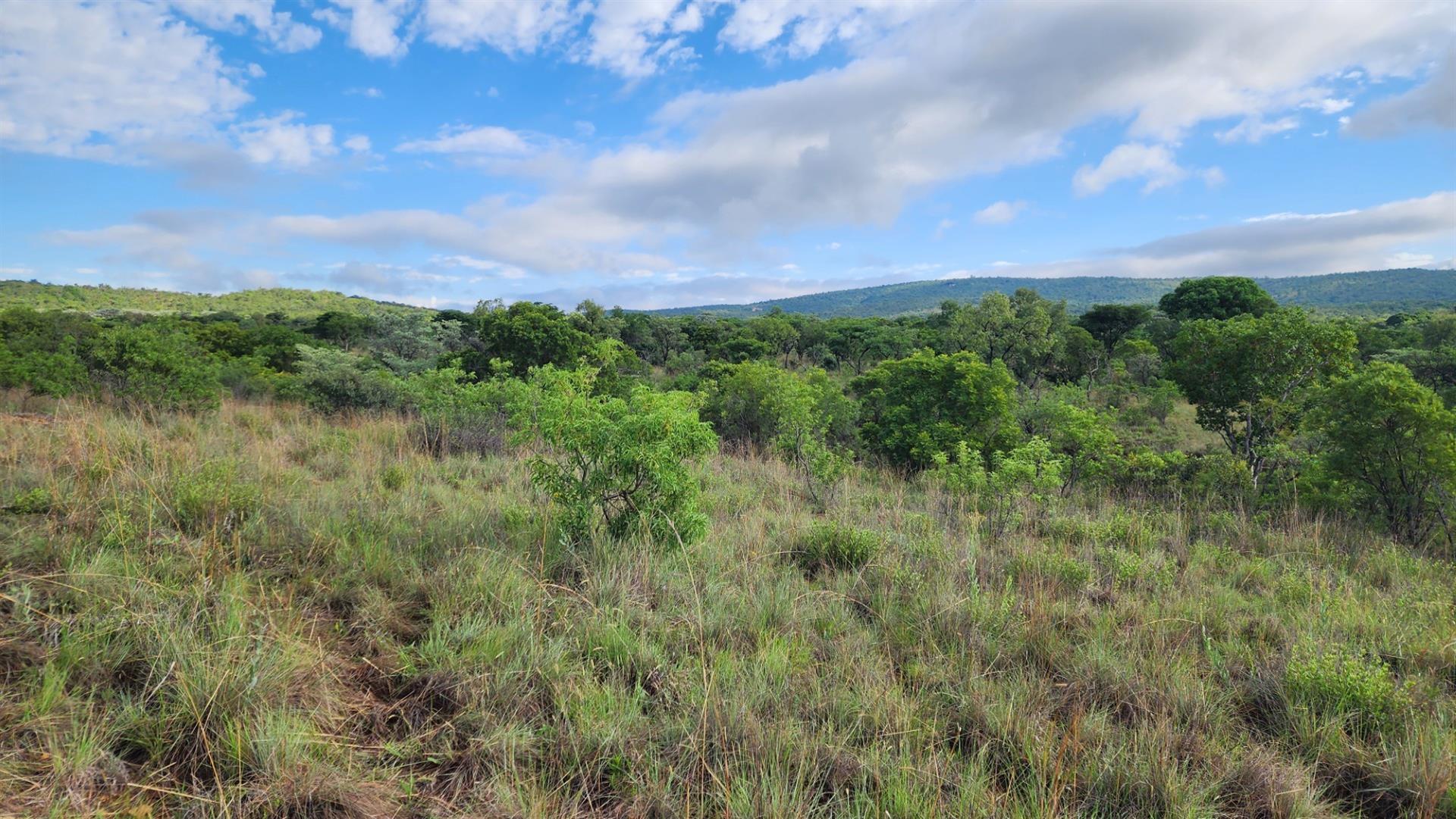 Vacant Stand in Zwartkloof Private Game Reserve - Spectacular Views