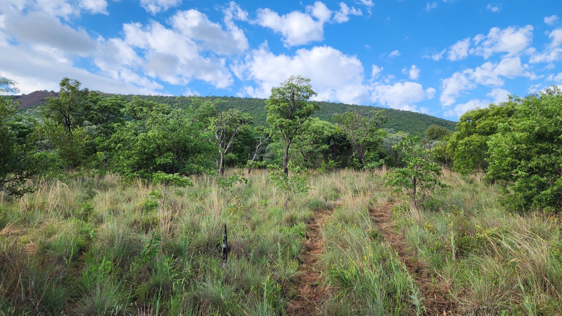 Vacant Stand in Zwartkloof Private Game Reserve - Spectacular Views