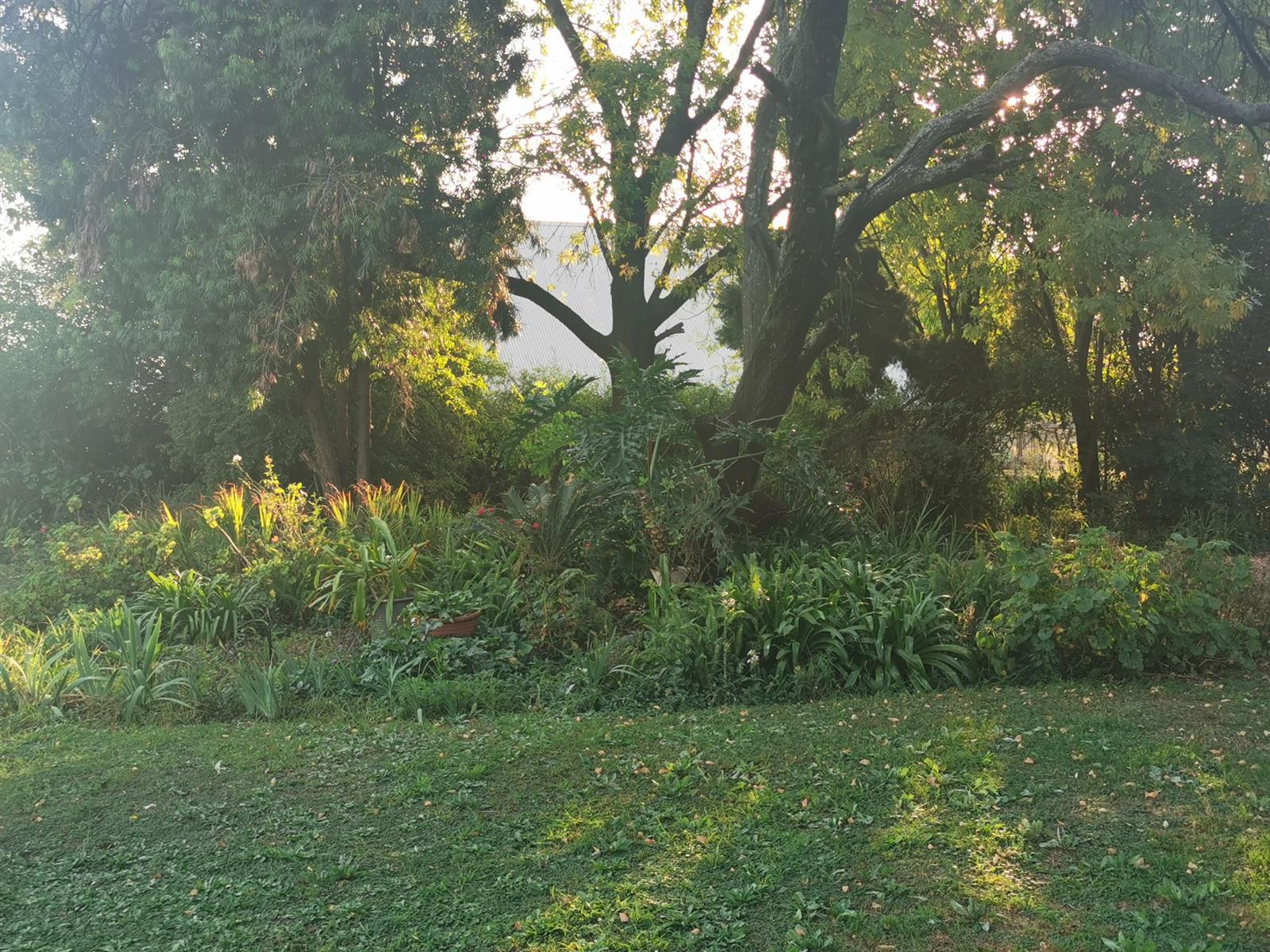 R7 450 000 beautiful farm with 1 main house, 2 smaller houses and 2 cottages for sale