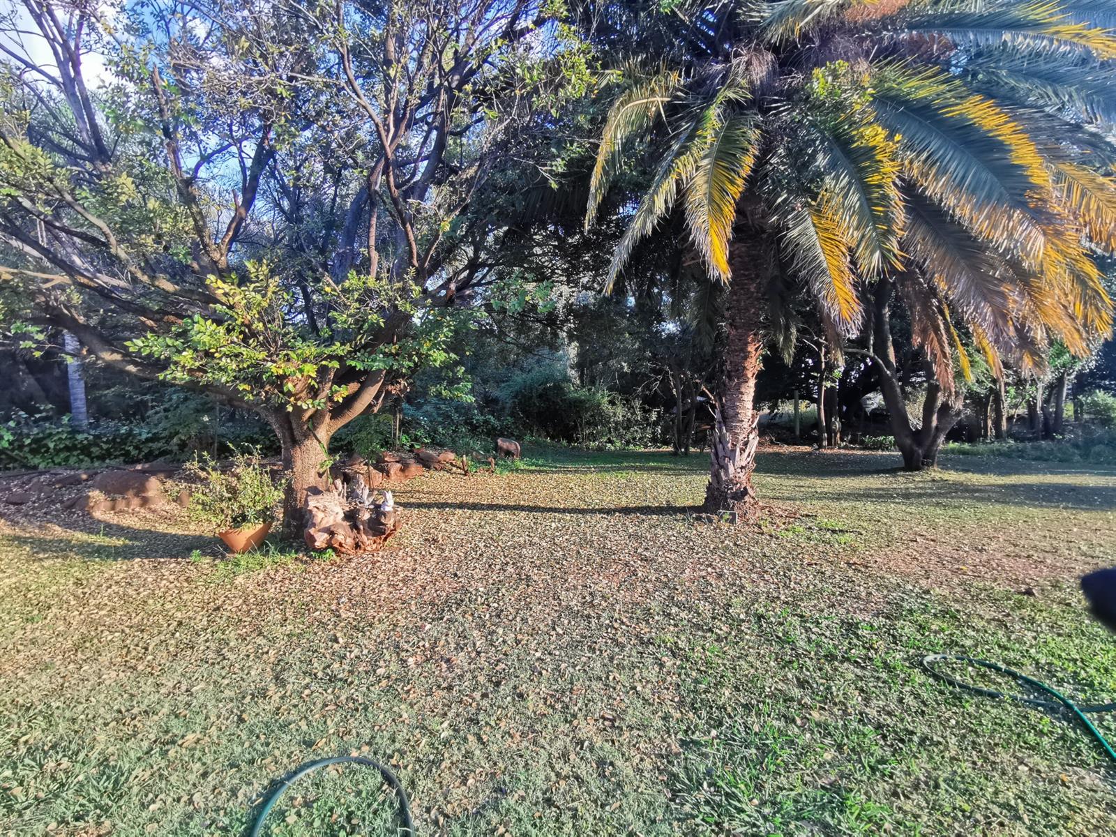 R7 450 000 beautiful farm with 1 main house, 2 smaller houses and 2 cottages for sale