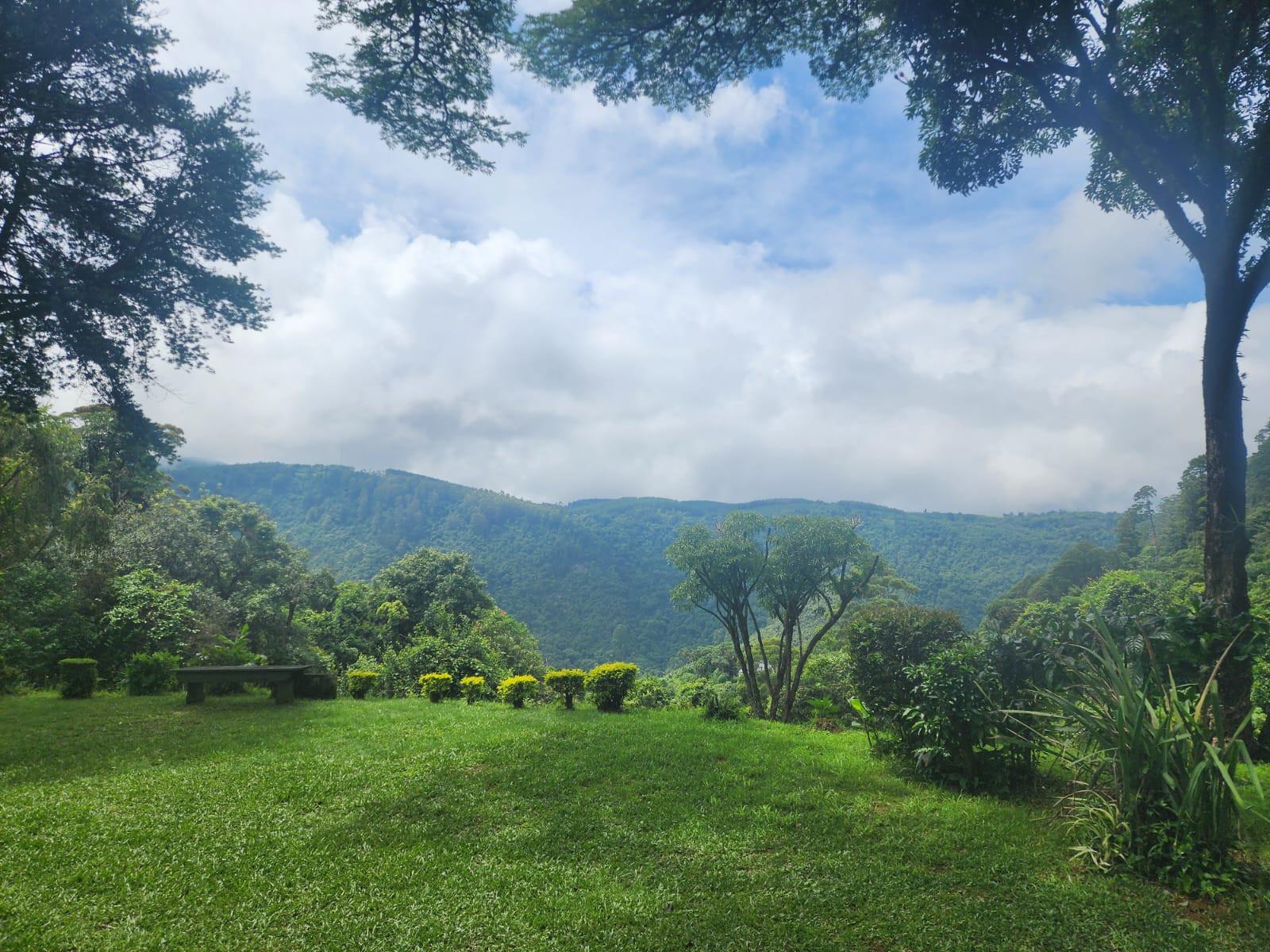 A Rare 7.9 ha Lifestyle Retreat with Endless Potential in the Heart of Magoebaskloof