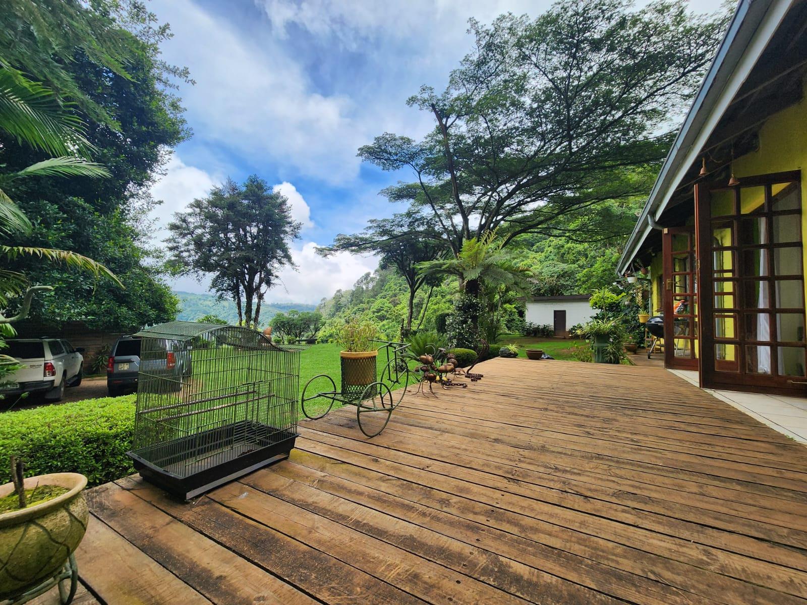 A Rare 7.9 ha Lifestyle Retreat with Endless Potential in the Heart of Magoebaskloof