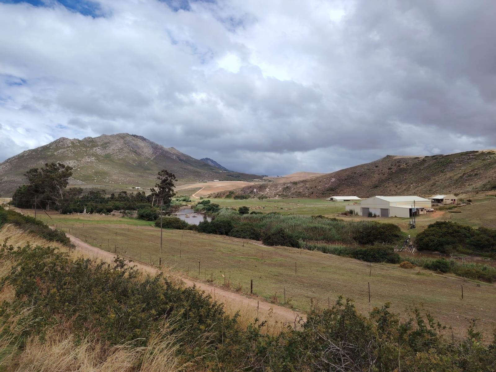 Dairy farm and artisanal cheese operation for sale on the Klein River, Stanford, Western Cape