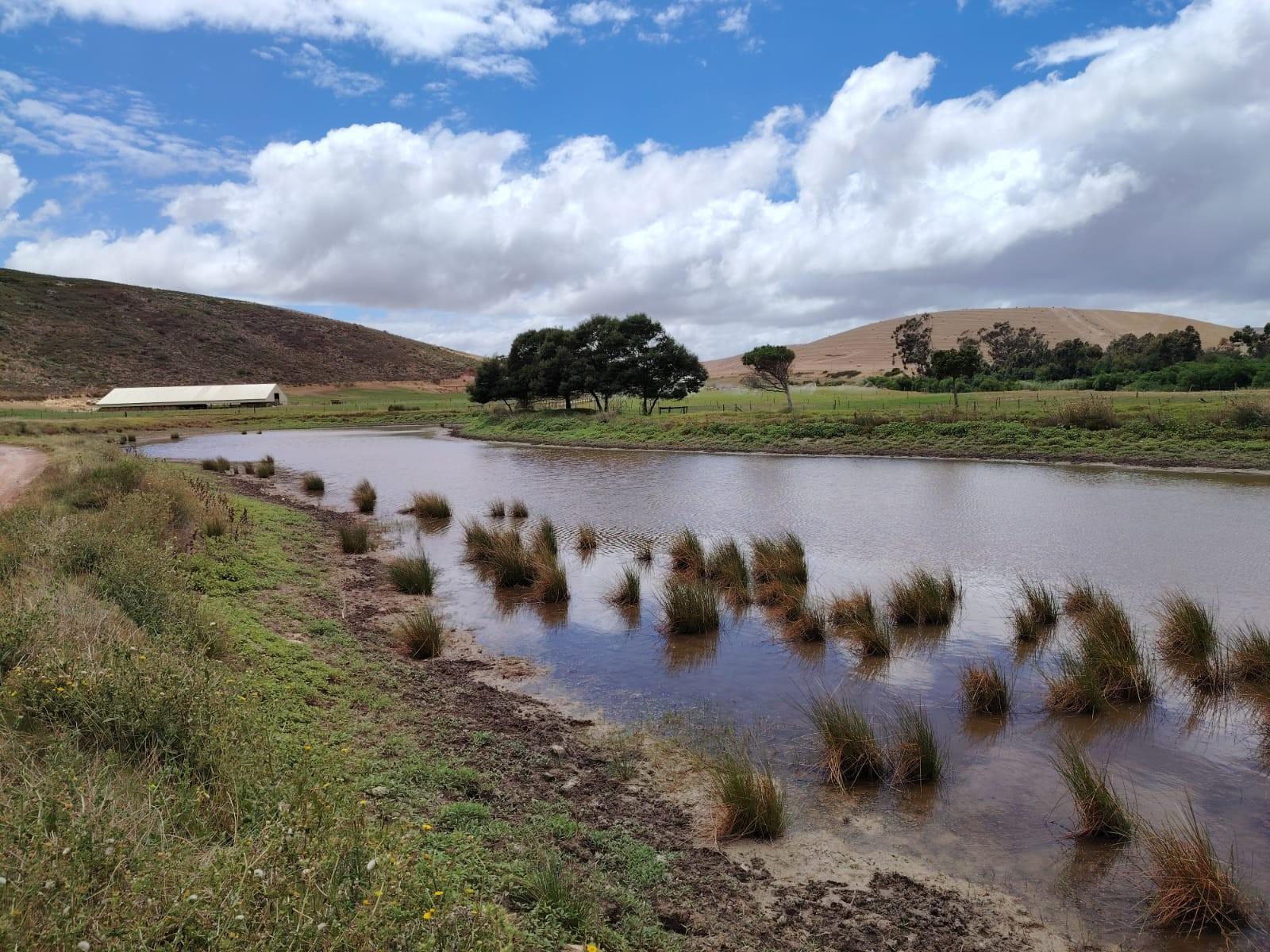 Dairy farm and artisanal cheese operation for sale on the Klein River, Stanford, Western Cape