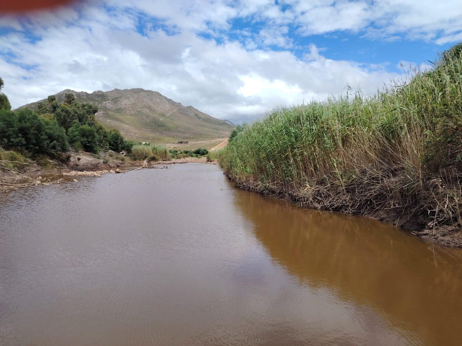 Dairy farm and artisanal cheese operation for sale on the Klein River, Stanford, Western Cape