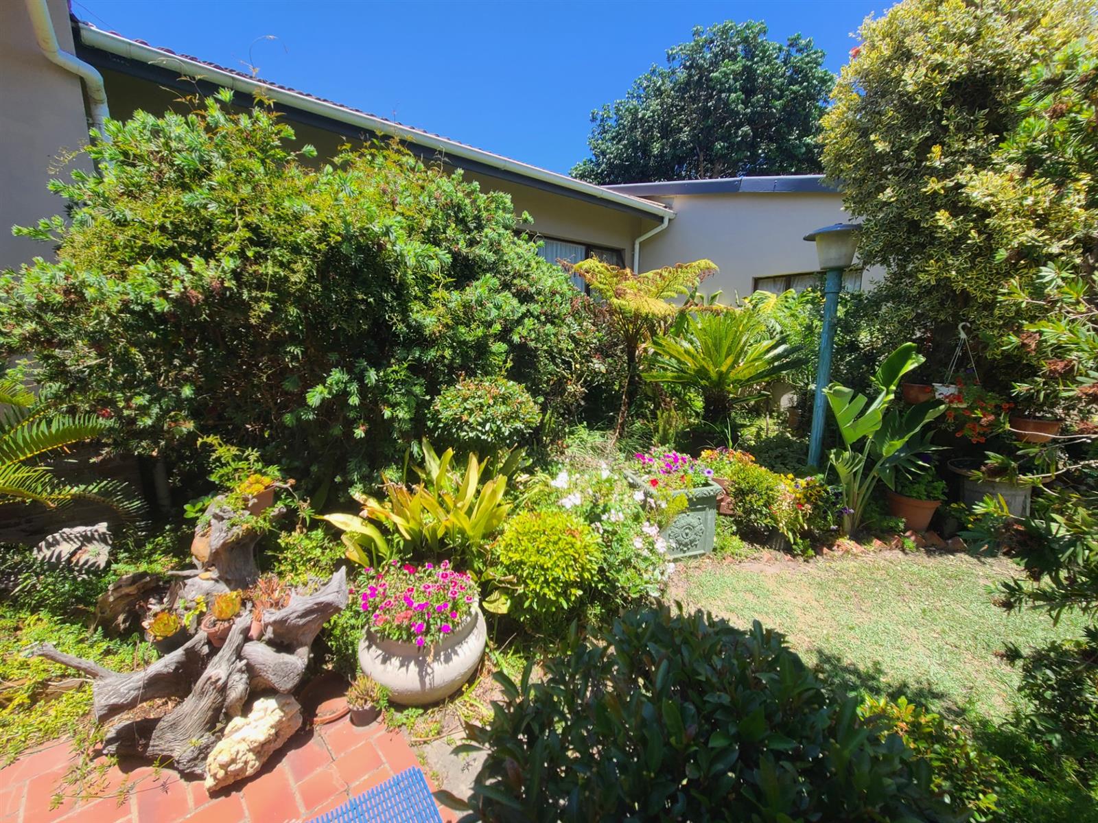 House for sale in Kareedouw, 300 m²