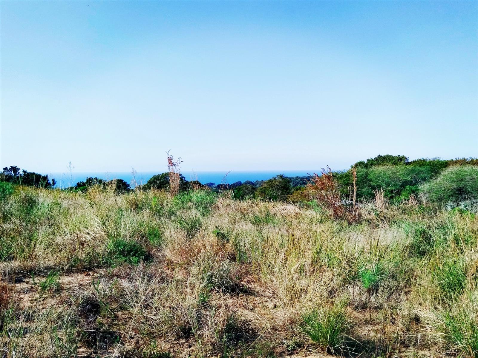 Build Your Dream Home in a Serene Coastal Haven