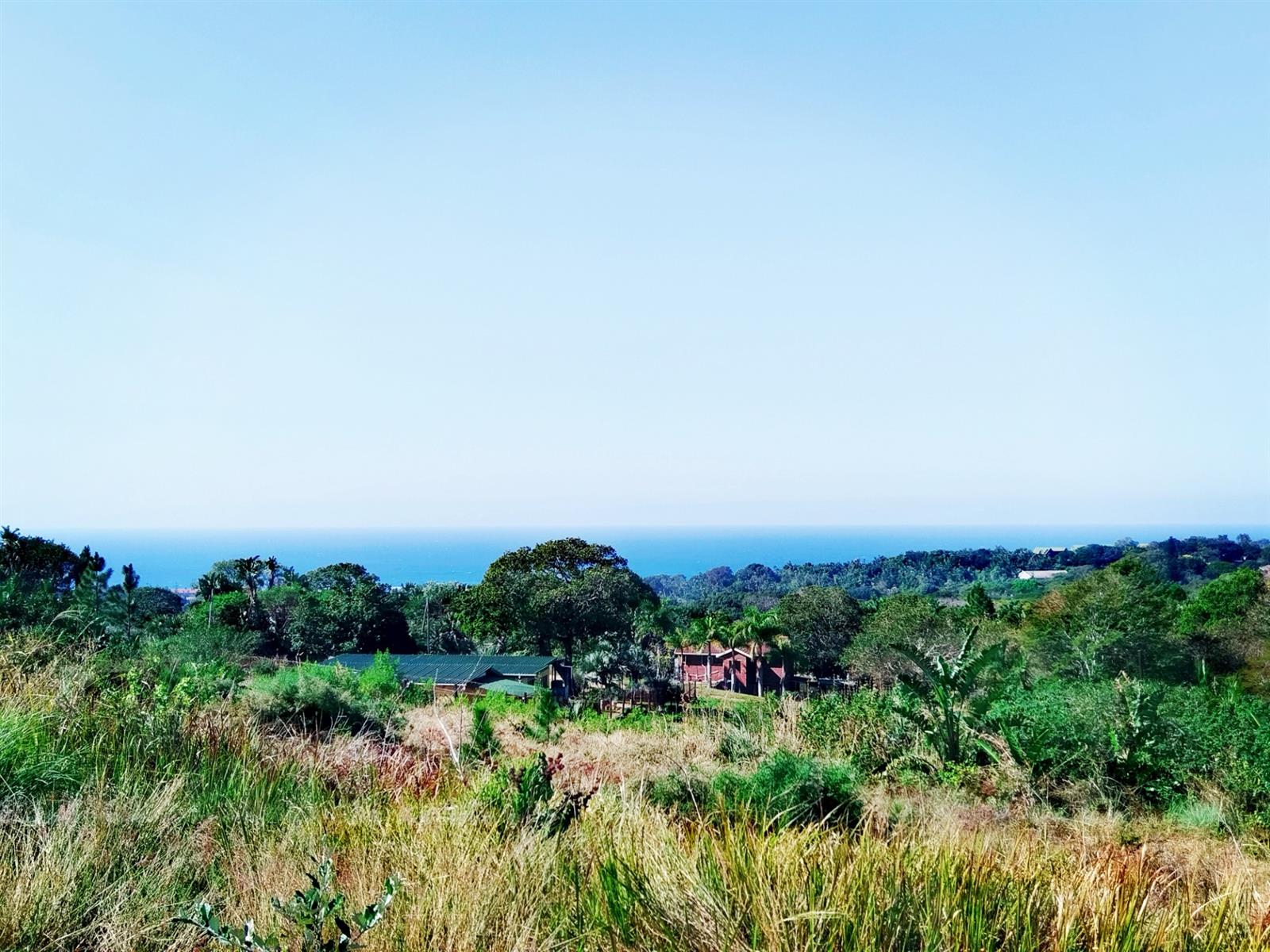 Build Your Dream Home in a Serene Coastal Haven