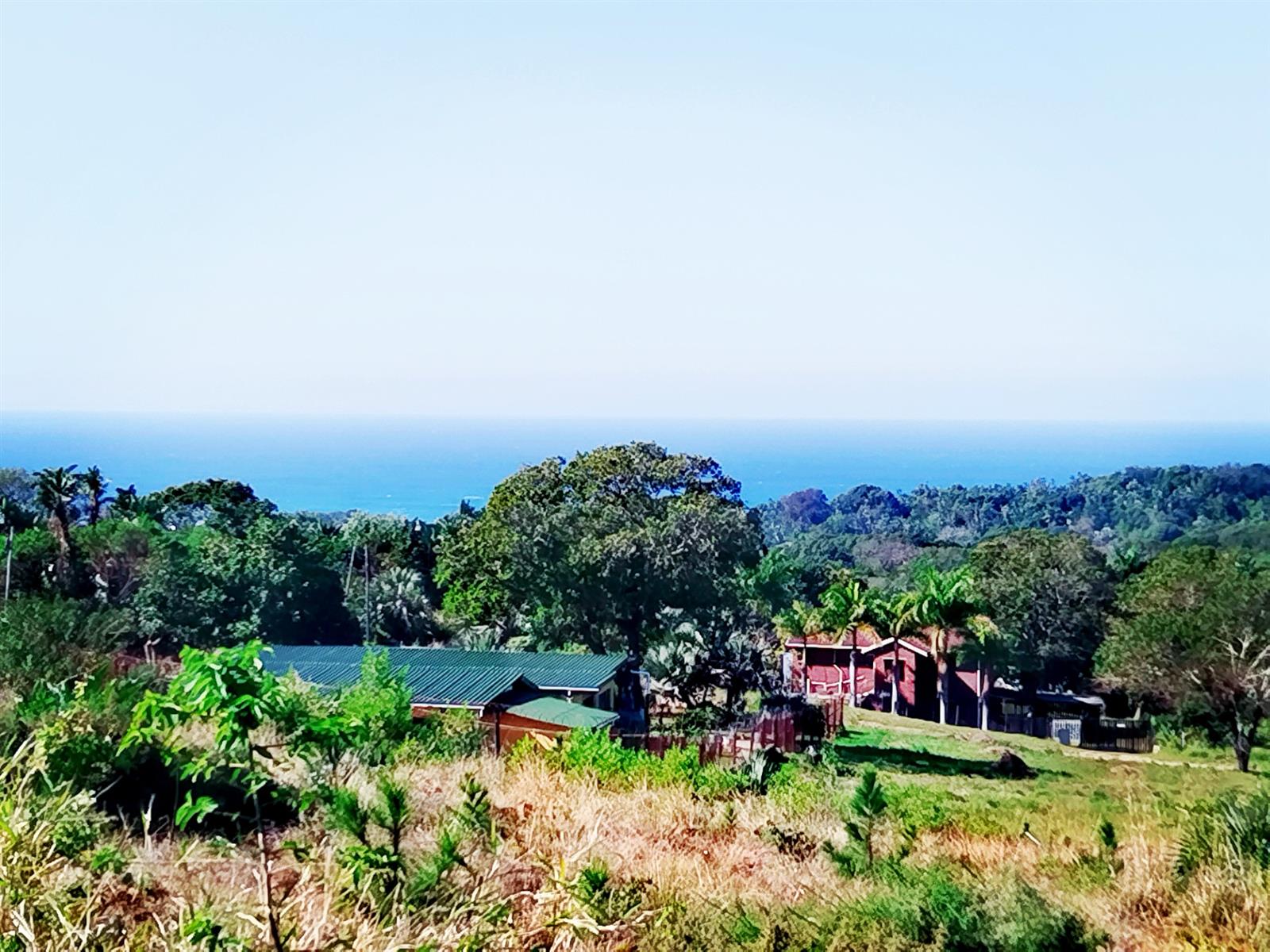 Build Your Dream Home in a Serene Coastal Haven