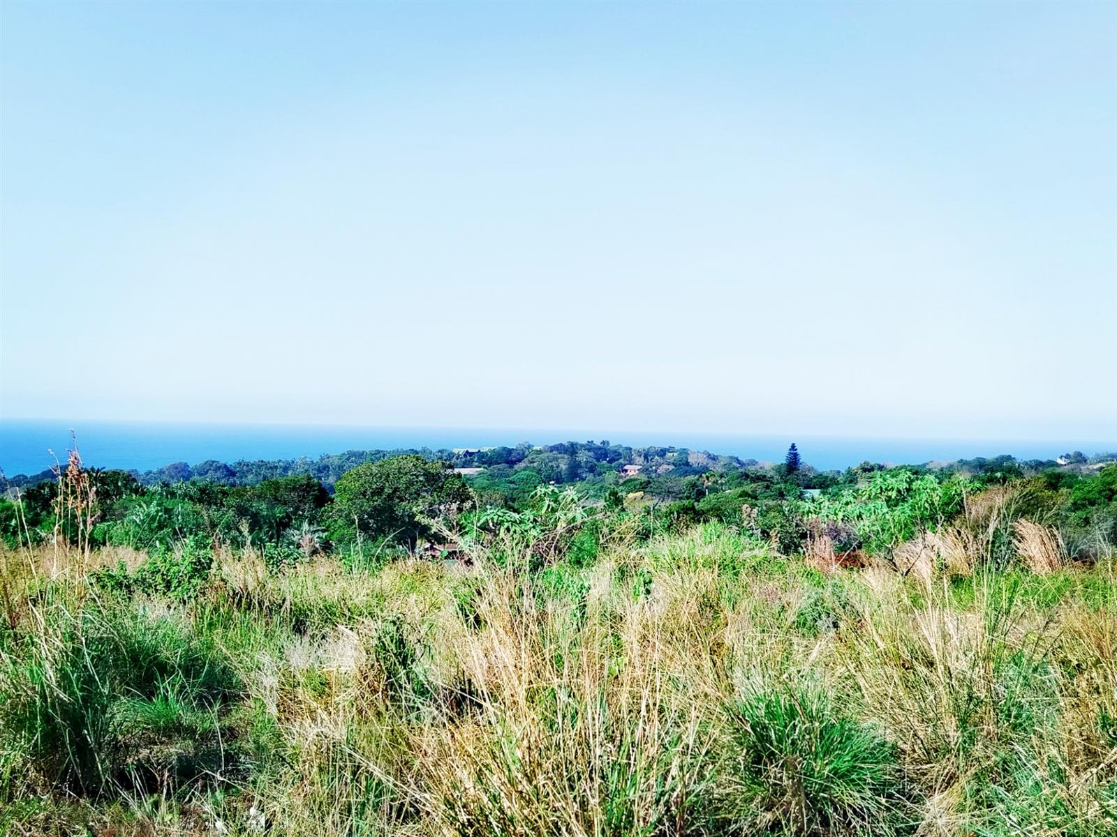 Build Your Dream Home in a Serene Coastal Haven